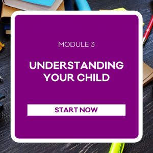 Understanding your Child